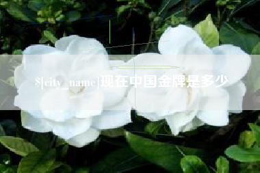 哈密现在中国金牌是多少