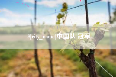 哈密中国队 冠军