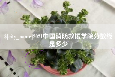 哈密2021中国消防救援学院分数线是多少