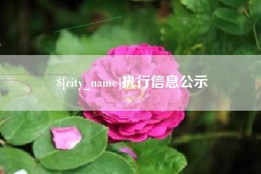 哈密执行信息公示