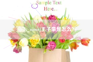 哈密王子豪是怎么写