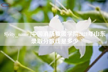 哈密中国消防救援学院2021年山东录取分数线是多少