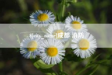 哈密成都 消防