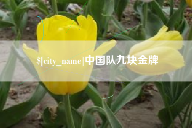 哈密中国队九块金牌