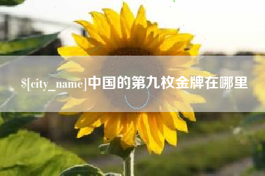 哈密中国的第九枚金牌在哪里
