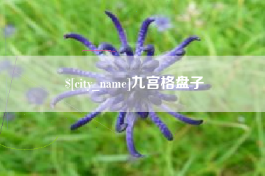 哈密九宫格盘子