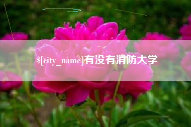 哈密有没有消防大学