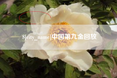 哈密中国第九金回放