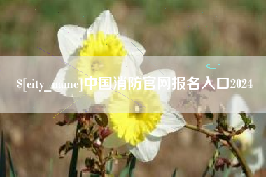 哈密中国消防官网报名入口2024