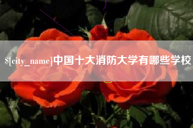 哈密中国十大消防大学有哪些学校