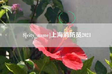 哈密上海消防员2021