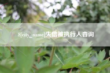 哈密失信被执行人杳询