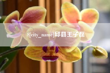 哈密邱县王子磊
