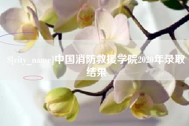 哈密中国消防救援学院2020年录取结果