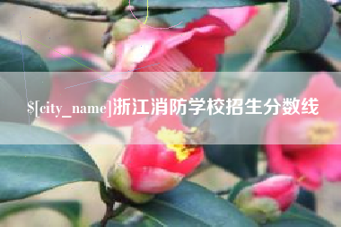 哈密浙江消防学校招生分数线
