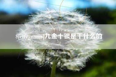 哈密九金十银是干什么的