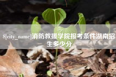 哈密消防救援学院报考条件湖南招生多少分