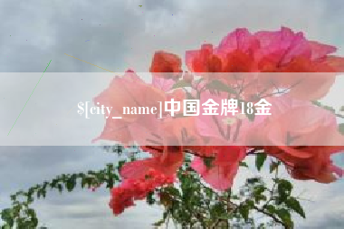 哈密中国金牌18金