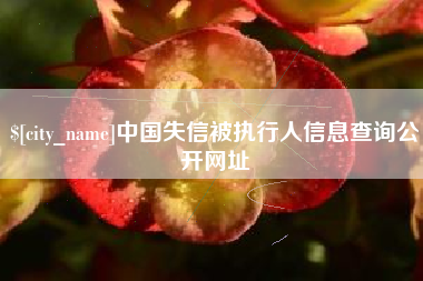 哈密中国失信被执行人信息查询公开网址