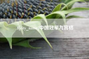 哈密中国冠军九宫格