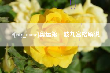 哈密奥运第一波九宫格解说