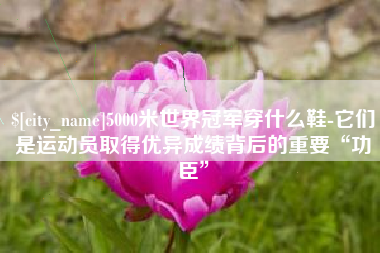 哈密5000米世界冠军穿什么鞋-它们是运动员取得优异成绩背后的重要“功臣”