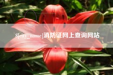 哈密消防证网上查询网站