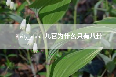哈密九宫为什么只有八卦