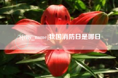 哈密我国消防日是哪日