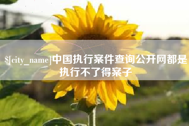 哈密中国执行案件查询公开网都是执行不了得案子