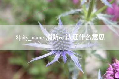 哈密消防ccc认证什么意思