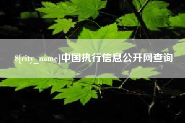 哈密中国执行信息公开网查询