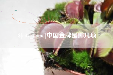 哈密中国金牌是哪几项