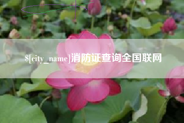 哈密消防证查询全国联网