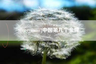 哈密中国第九个金牌