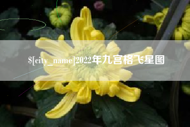 哈密2022年九宫格飞星图