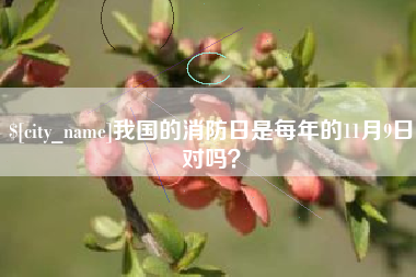 哈密我国的消防日是每年的11月9日对吗？