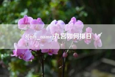 哈密九宫如何排日