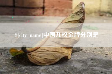 哈密中国九枚金牌分别是