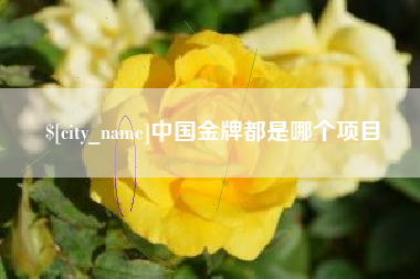 哈密中国金牌都是哪个项目
