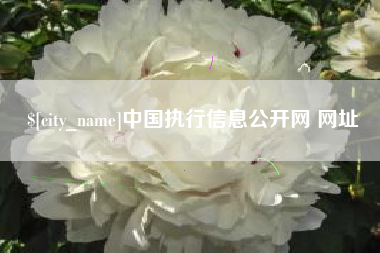 哈密中国执行信息公开网 网址