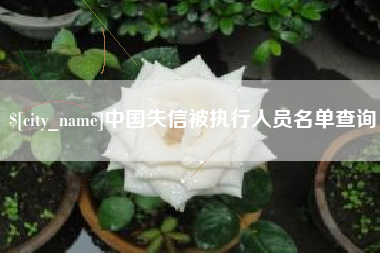 哈密中国失信被执行人员名单查询