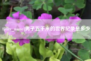 哈密男子五千米的世界纪录是多少