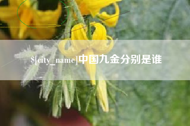 哈密中国九金分别是谁