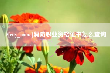 哈密消防职业资格证书怎么查询