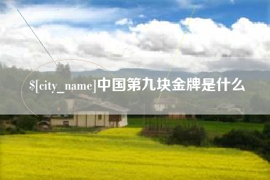 哈密中国第九块金牌是什么