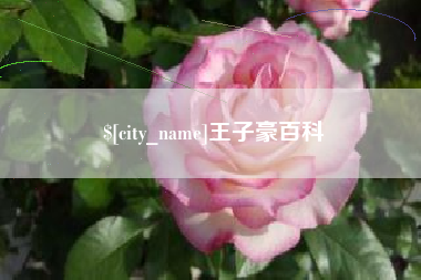 哈密王子豪百科