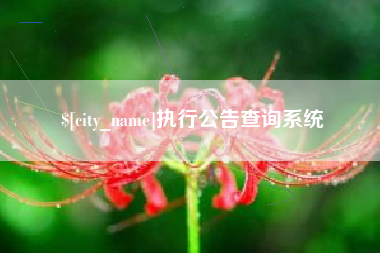 哈密执行公告查询系统