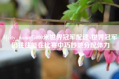 哈密5000米世界冠军配速-世界冠军们往往能在比赛中巧妙地分配体力