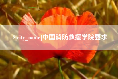 哈密中国消防救援学院要求